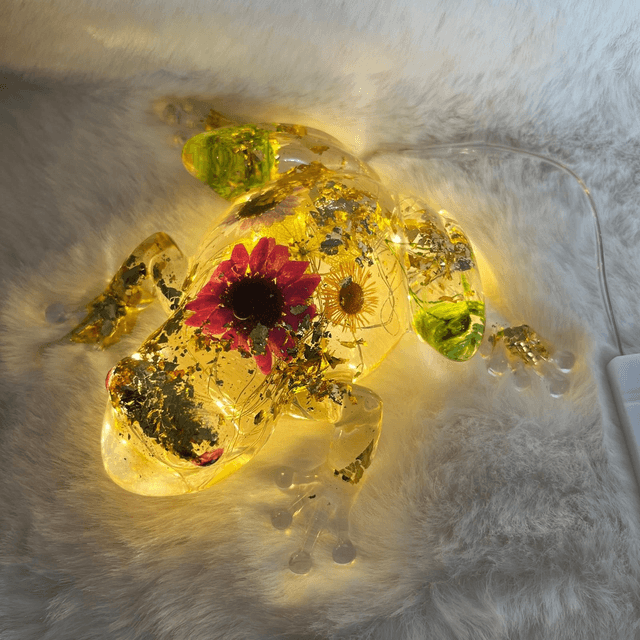 GRENOUILLE FLEUR SÉCHÉES & LUMIERE