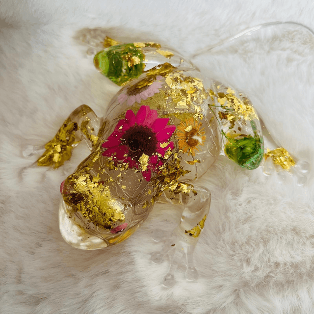GRENOUILLE FLEUR SÉCHÉES & LUMIERE