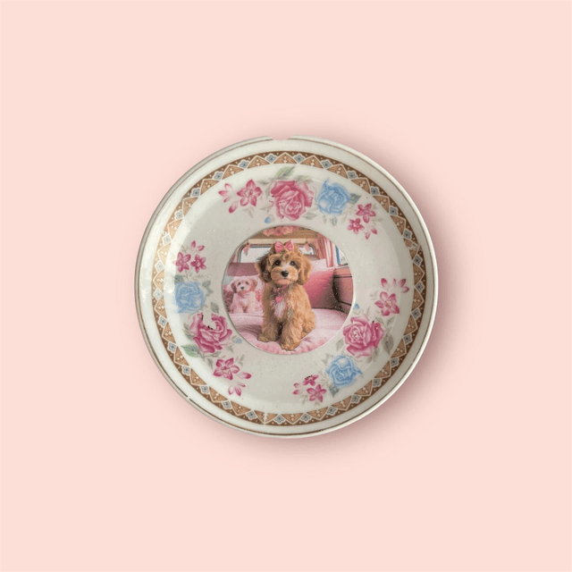 Assiette XS 