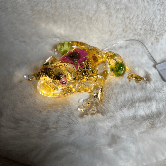 GRENOUILLE FLEUR SÉCHÉES & LUMIERE