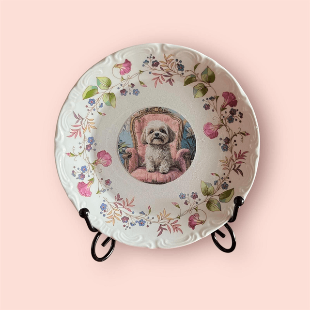 Assiette S Chat &amp; Chien